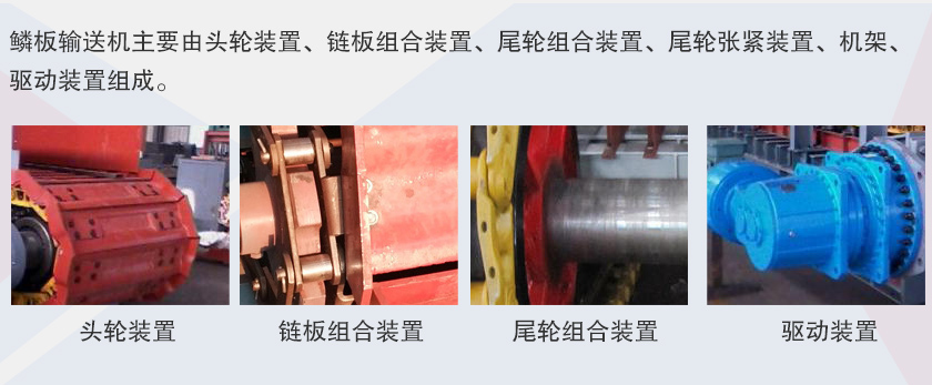 鱗（lín）板輸送機細節展示